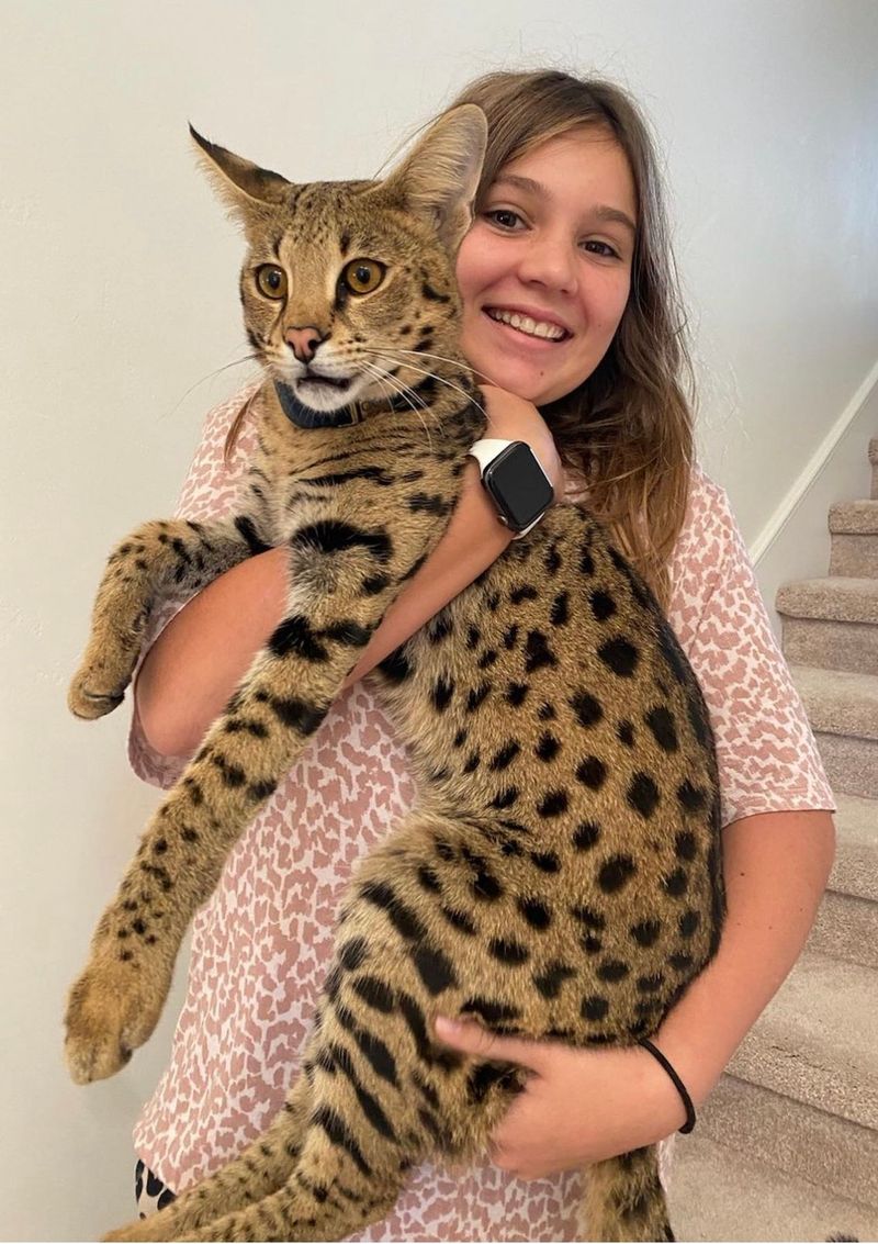 Savannah