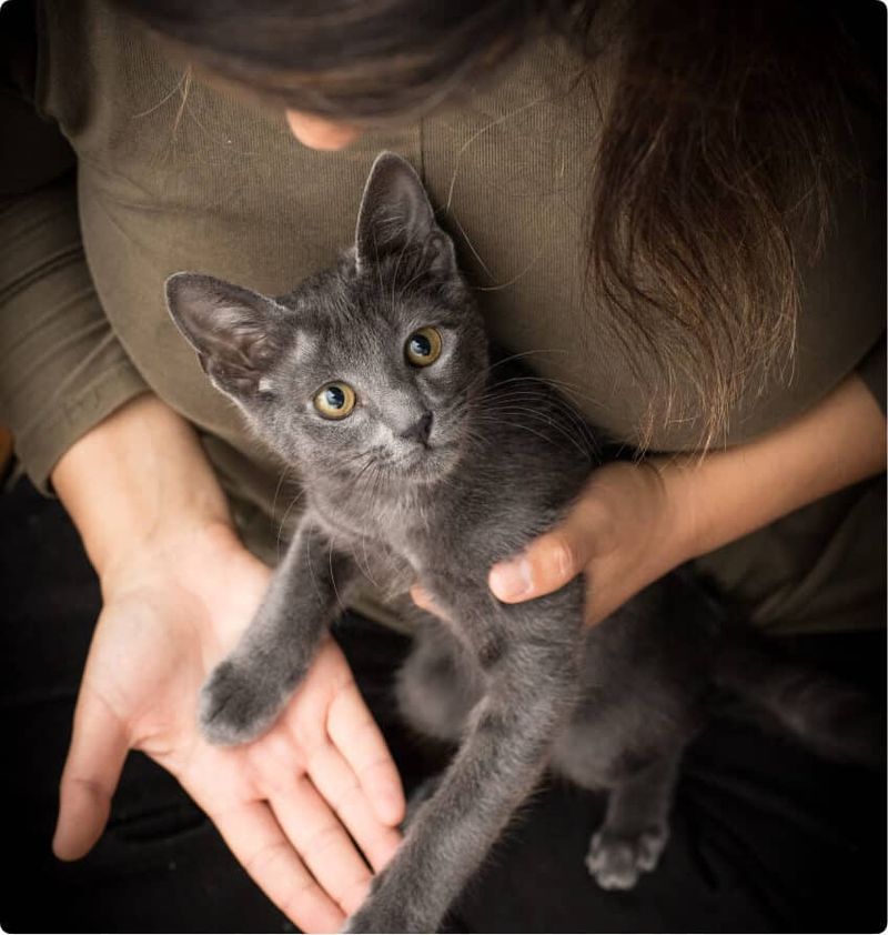 Schedule a Home Vet Visit