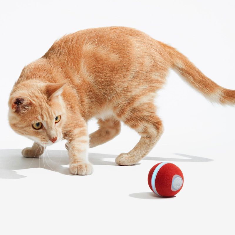 Scheduled Playtime