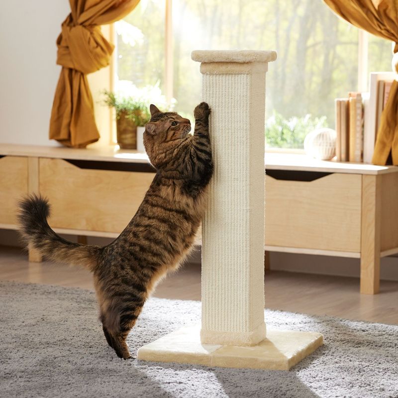 Scratching Posts