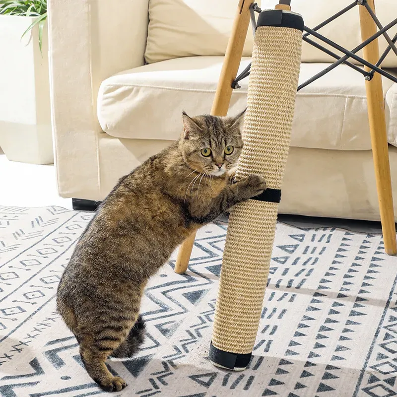 Scratching Posts
