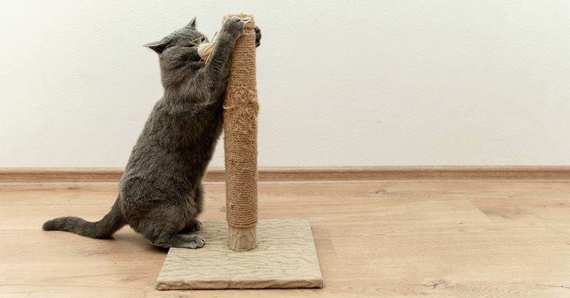 Scratching Station Rotation