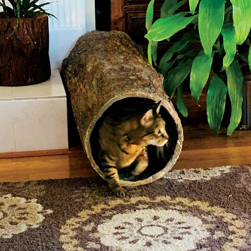 Seeking New Hideouts