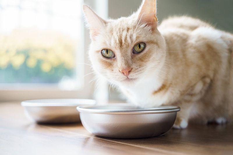 Selecting Suitable Bowls