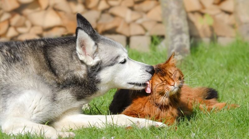 Sense of Curiosity