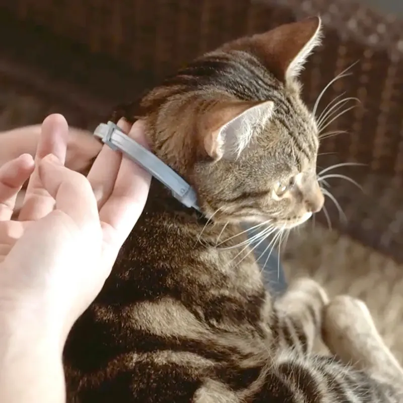 Seresto Flea and Tick Collar for Cats