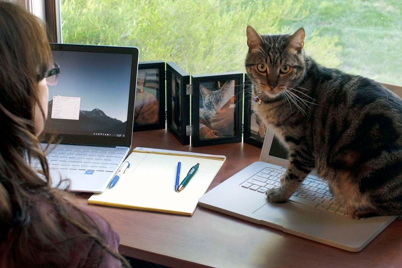 Sitting On Your Belongings
