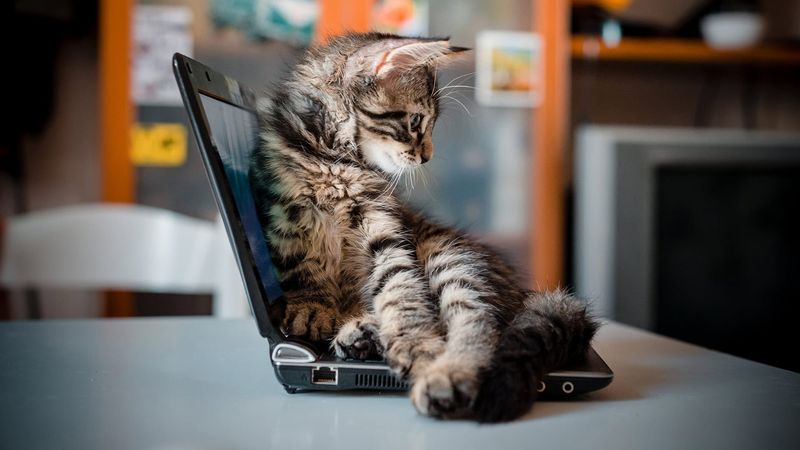 Sitting On Your Personal Items