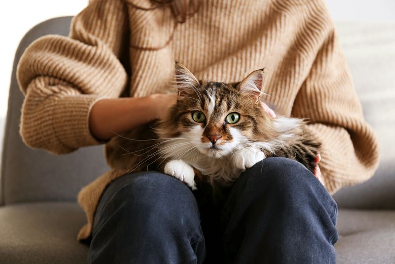 Sitting on Your Lap