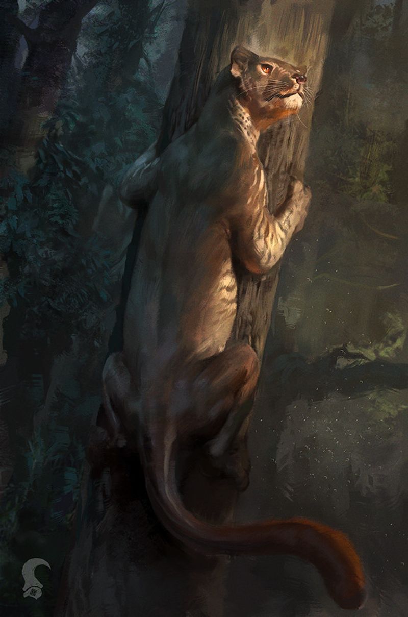 Size and Appearance