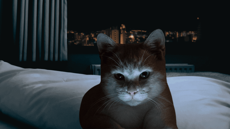 Sleep Pattern Disruptions and Restlessness