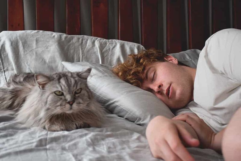 Sleeping Next To You - The Vulnerability Nap