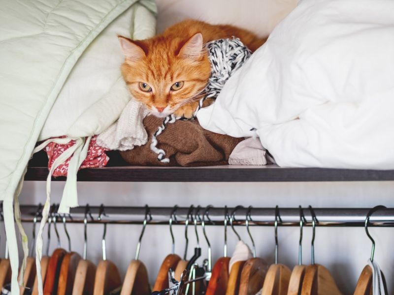 Sleeping On Your Clothes