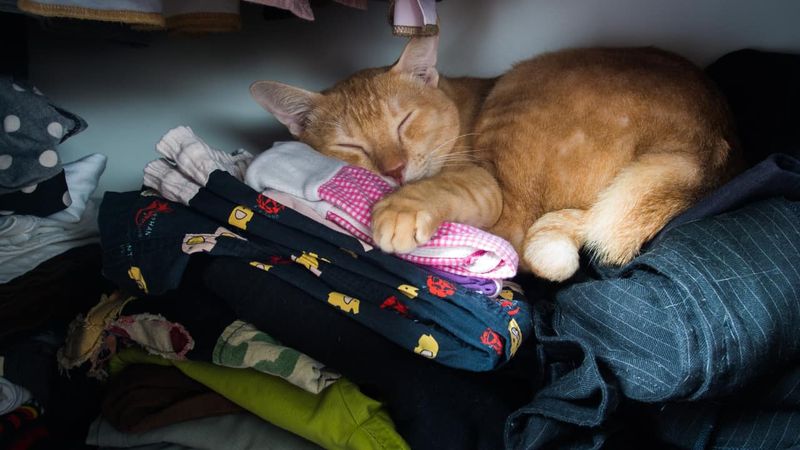 Sleeping on Your Clothes