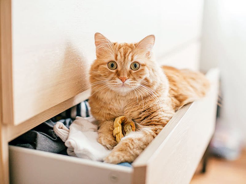 Sleeping on Your Clothes or Bed