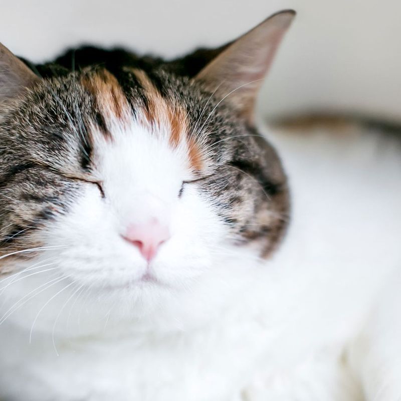 Slow Blinking At You