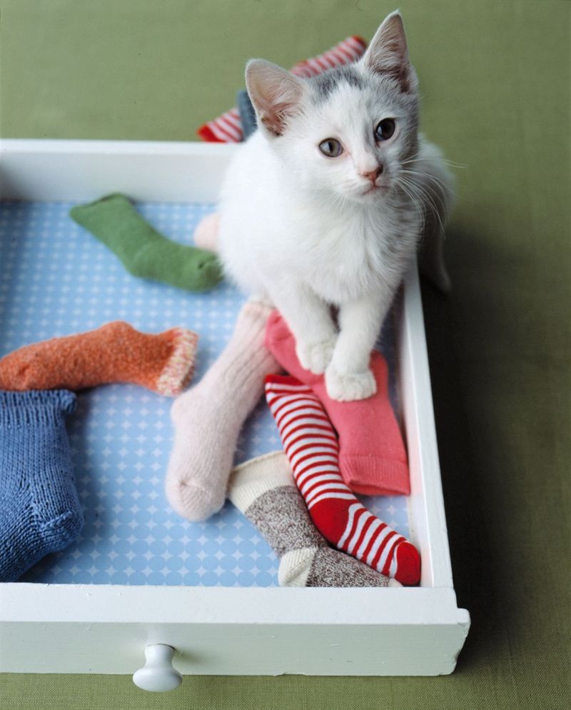 Sock Fish Toy Creation
