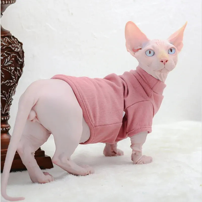 Sphynx