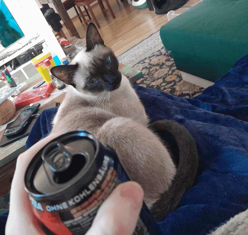 Sports Drinks