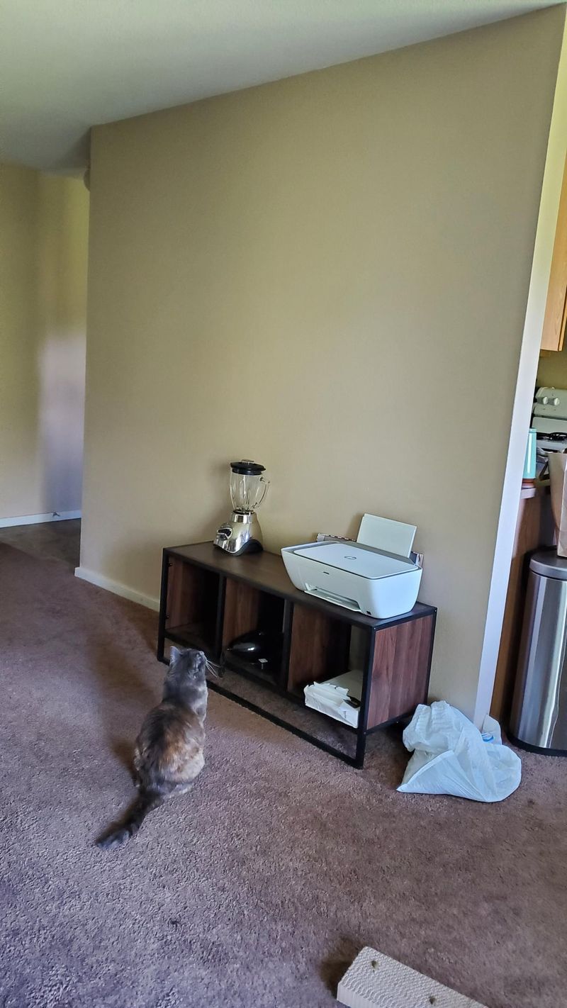 Staring at Walls
