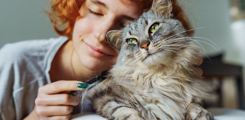 Stress Reduction Through Purring