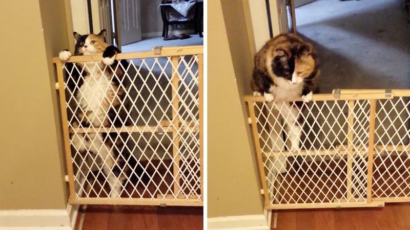 Struggling to Jump