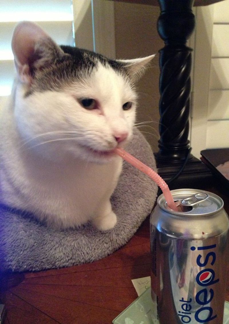 Sugary Beverages