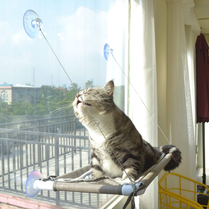 Sunbathing Spots for Warmth Seekers