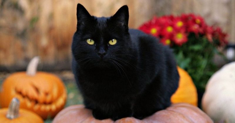 Superstition Busters
