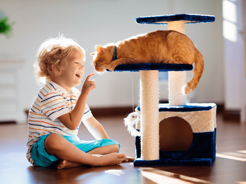 Teaching Respect for Boundaries