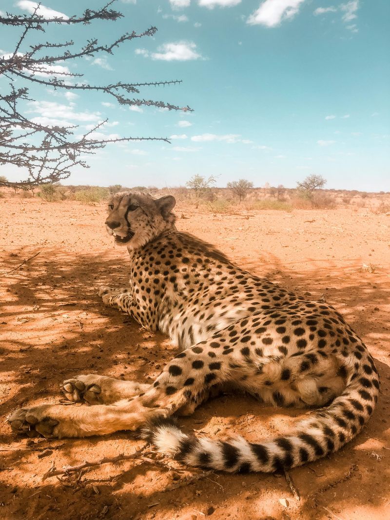 Temperature and Climate Considerations