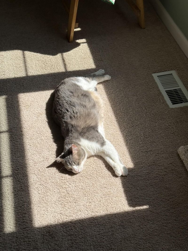 The Comfort in Routine