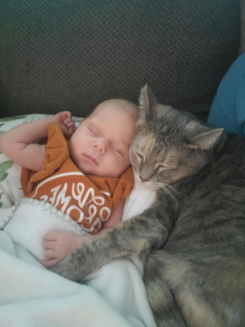 The Comfort of Companionship