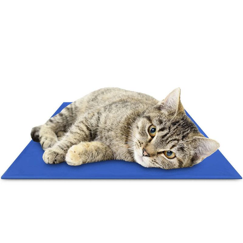 The Green Pet Shop Cooling Pad