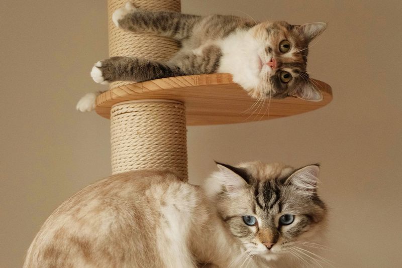 The Need for High Places