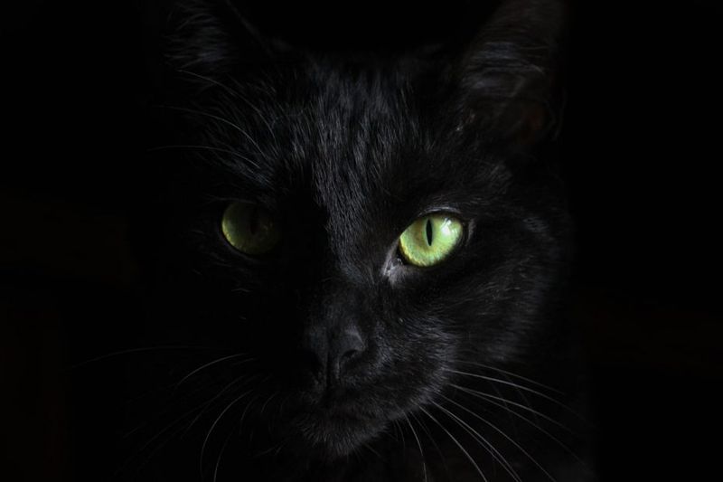 They're invisible at night and dangerous