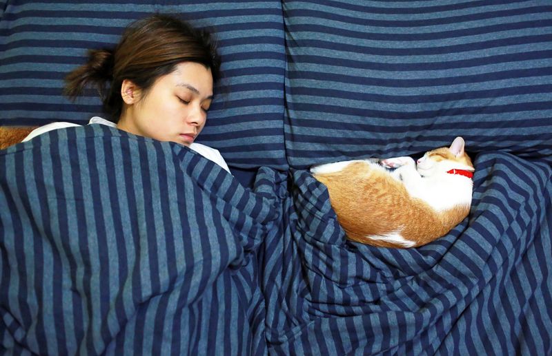 They Sleep Through the Night