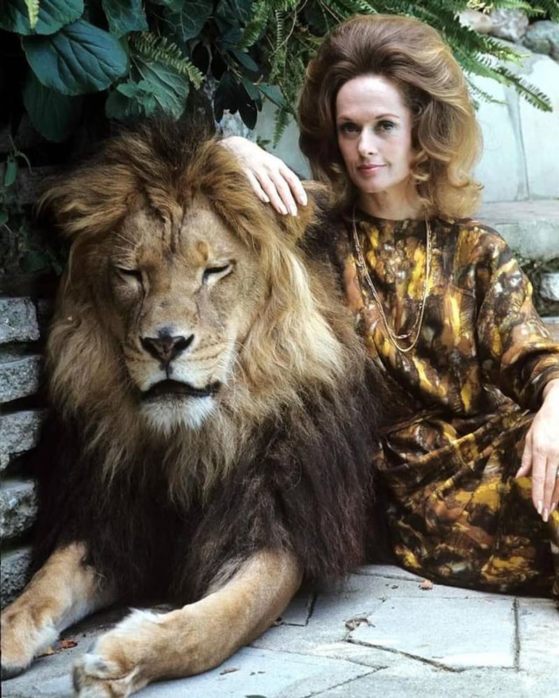 Tippi Hedren's Lion, Neil