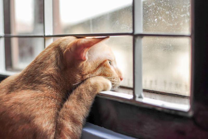 Too Much Alone Time