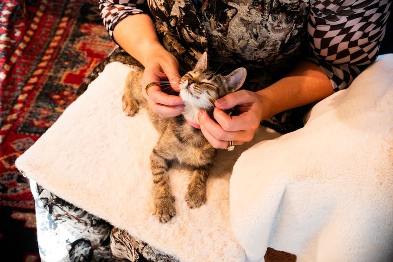 Touch-Sensitive Therapists