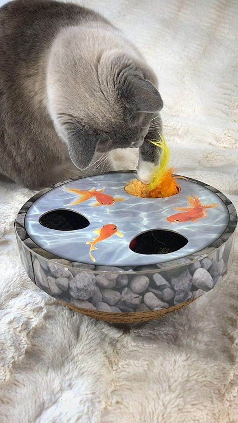 Toys and Enrichment