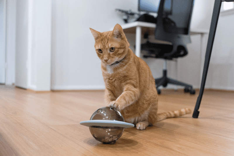 Treat-Hiding Surprises