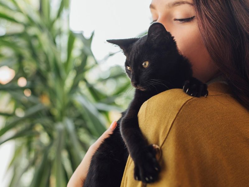 Unconditional Love