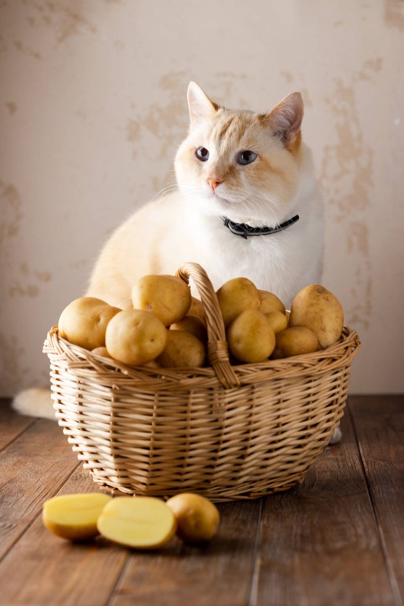 Uncooked Potatoes