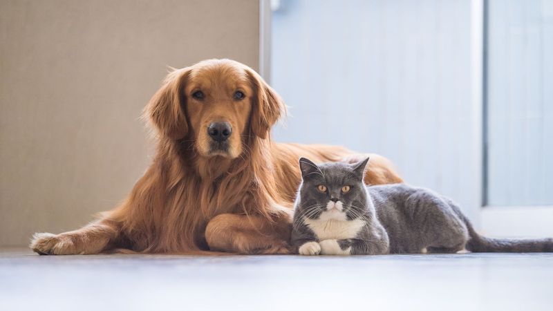 Understand Their Personalities