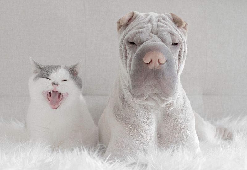 Unique Personalities