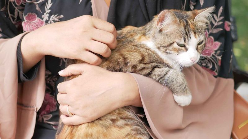 Unusually Clingy Behavior