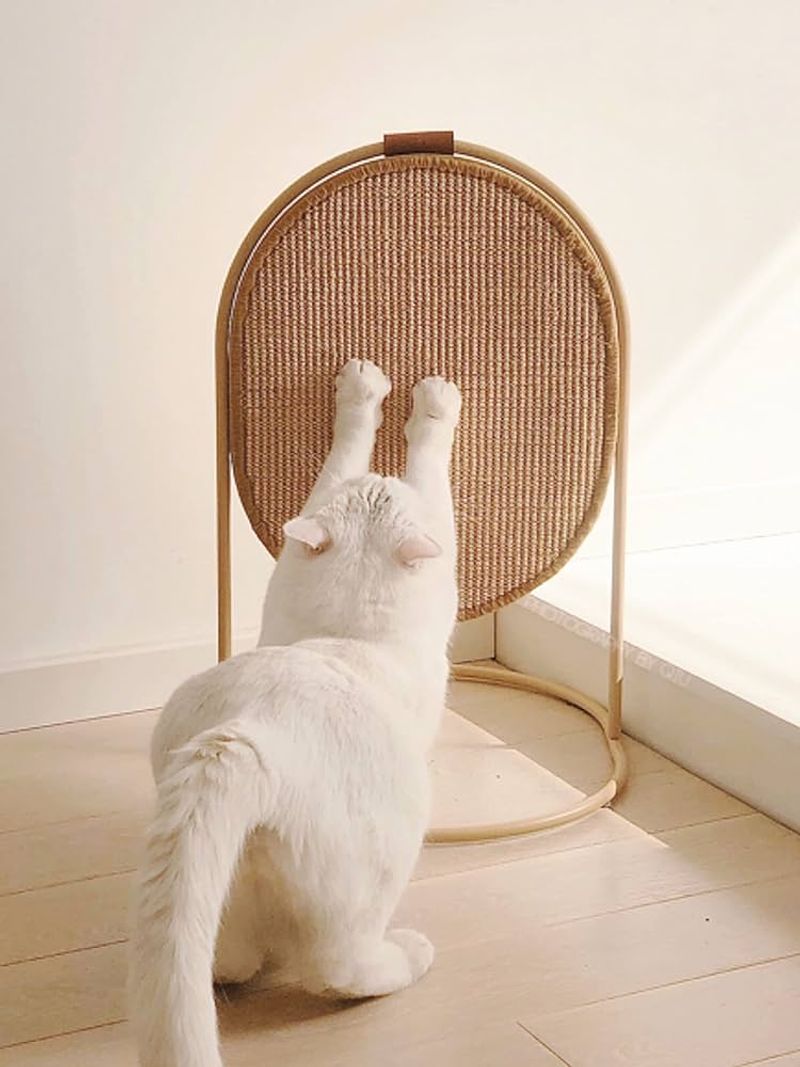 Upgrade Their Scratching Options