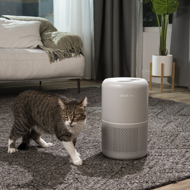 Use Air Purifiers