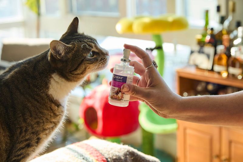 Use Comforting Scents